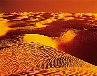 《泰坦之旅2》开发版视频泄露 游戏界面和玩法展示