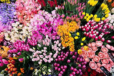 3090运行《战神4》PC版光追+DLSS演示 画面震撼